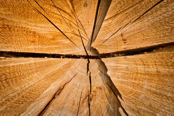 砍木头的表面 — 图库照片