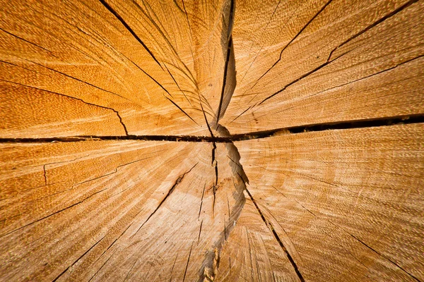 Oppervlak van hout gesneden — Stockfoto