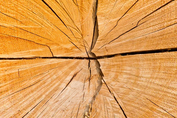 Superficie cortada de madera —  Fotos de Stock
