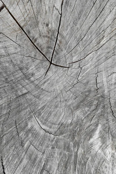 Superfície cortada de madeira escura — Fotografia de Stock