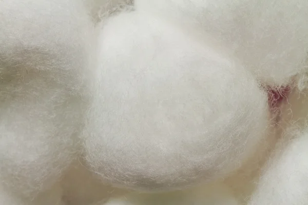 Vit bomull bollar på nära håll — Stockfoto