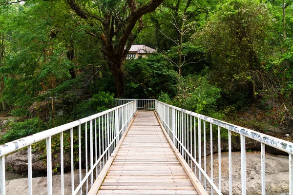 Ponte in legno nella foresta — Foto Stock