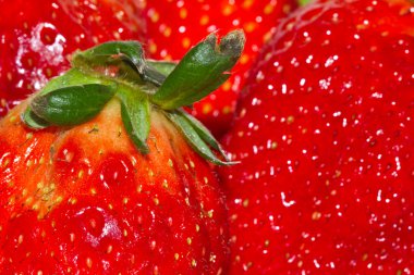 Grup kırmızı çilek yakın çekim