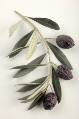 siyah zeytin