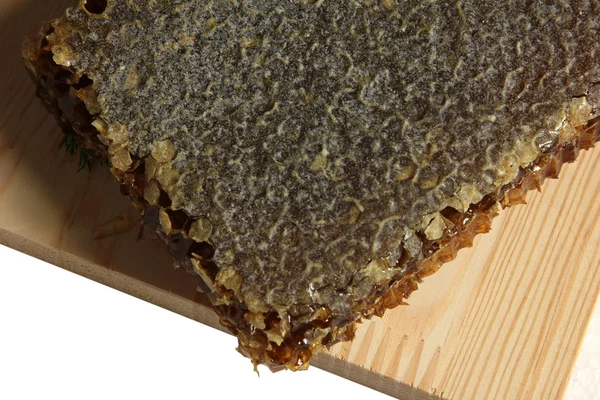 유기농 벌 꿀 — 스톡 사진