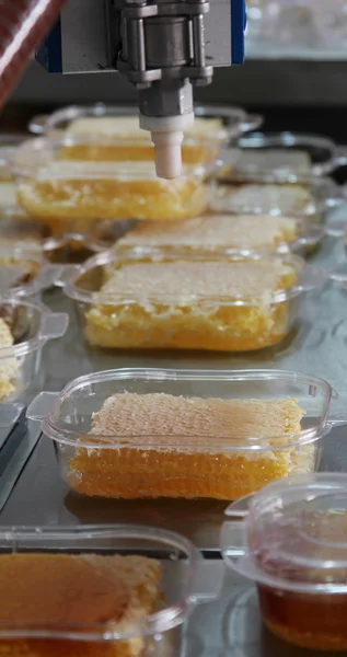 Fábrica de miel — Foto de Stock