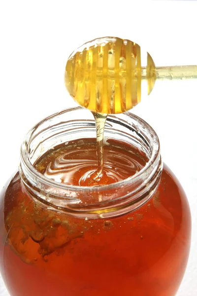 Olla de miel — Foto de Stock