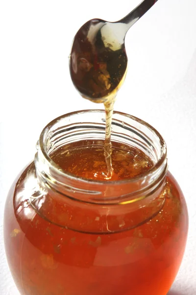 Méz vízirigó — Stock Fotó