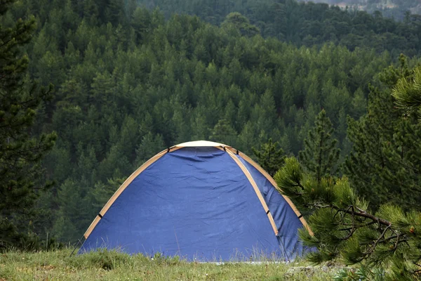 Kamp çadırı — Stok fotoğraf