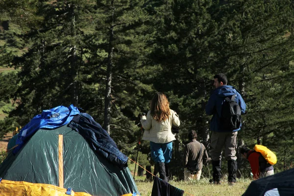 Camping tält — Stockfoto