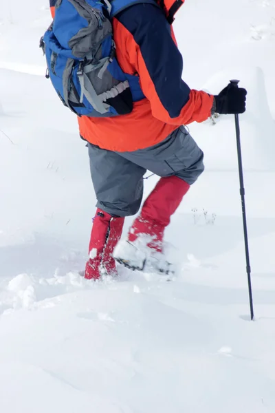 Alpinist — Stok fotoğraf