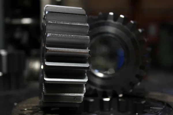 Gear wheel — Stock Photo, Image