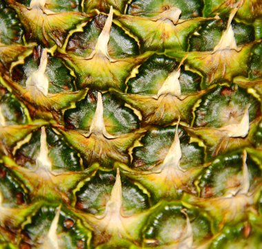 büyük iştah açıcı ananas arka plan görüntüsü