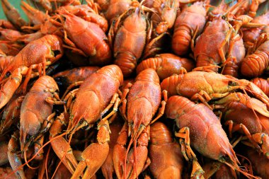 birçok crawfishes ile arka plan