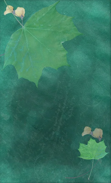 与枫叶 grunge 绿色背景 — 图库照片