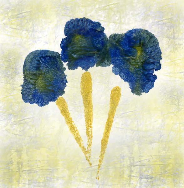 Akwarela niebieskie kwiaty — Zdjęcie stockowe