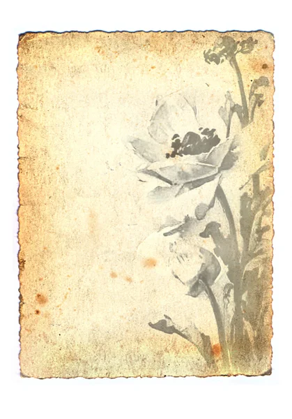 Grunge old paper with flowers — Stock Photo, Image