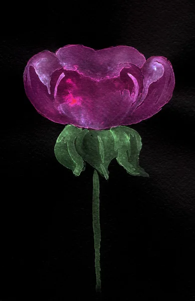 Aquarell schwarzer Hintergrund mit Blumen — Stockfoto