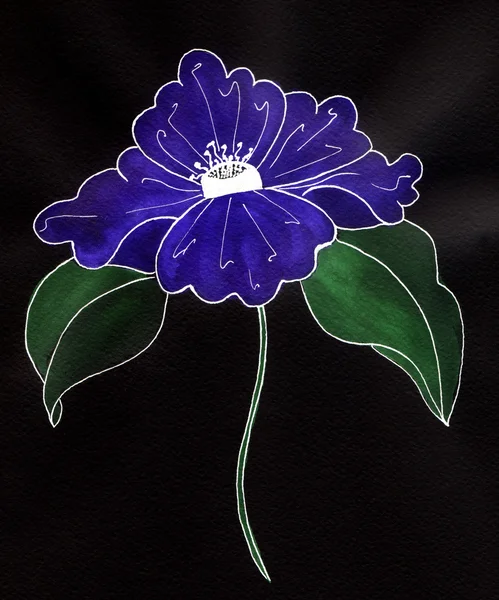 Schönes Aquarell blaue Blume und schwarzer Hintergrund — Stockfoto