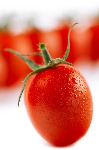 Cherry tomato on white, with tomatoes on background, little sha — Stock Photo, Image