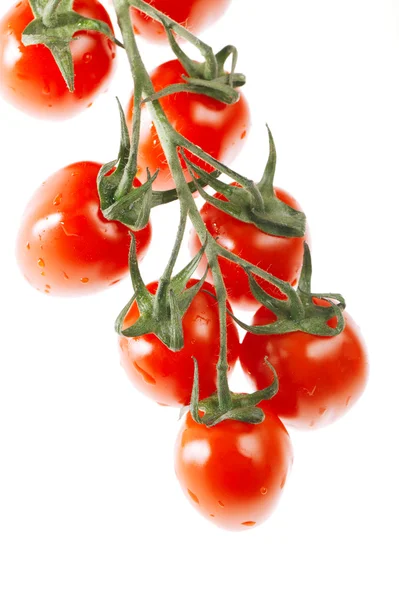 Kilka pomidorów cherry nad białym — Zdjęcie stockowe