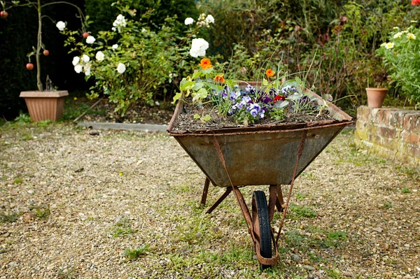Dekorativa trädgård skottkärra med blommor — Stockfoto
