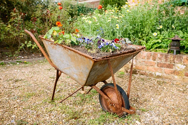 Decorative garden wheelbarrow with flowers — Stock Photo, Image