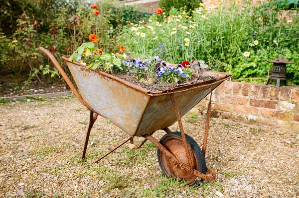 Brouette décorative de jardin avec des fleurs — Photo