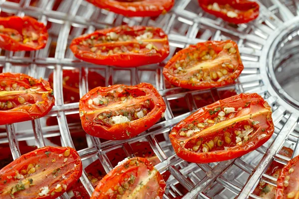 Tomates cereja secados ao sol na bandeja desidratadora de alimentos, cão raso — Fotografia de Stock