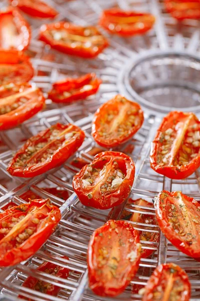 Suszonymi pomidorkami na żywności odwadniacz tray, płytkie pies — Zdjęcie stockowe