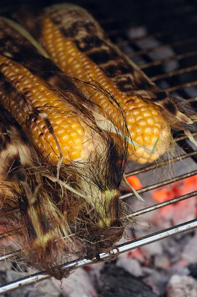 Bbq sweetcorn with leaves, — Stock Photo, Image