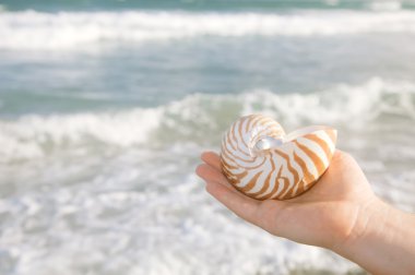 hombre concha nautilus mano contra las olas del mar