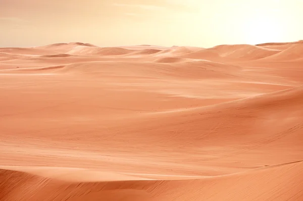 Desert Sahara dunes on sunset, Egypt — Stock Photo, Image