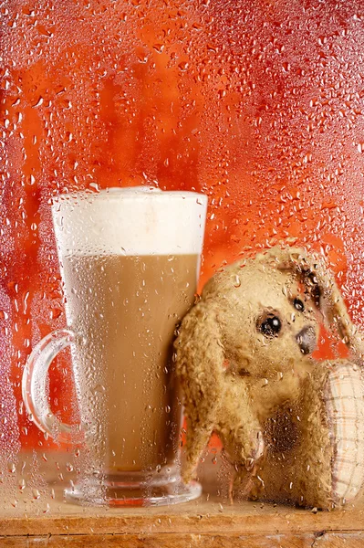Bunny och kaffe latte bakom regnigt fönster, grunt dof på glas — Stockfoto