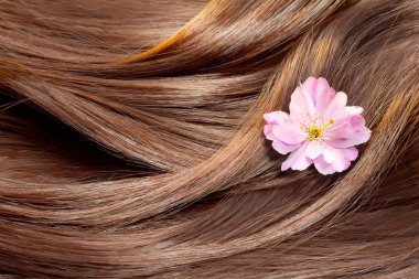 Beautiful healthy shiny hair texture with a flower, hair care co clipart