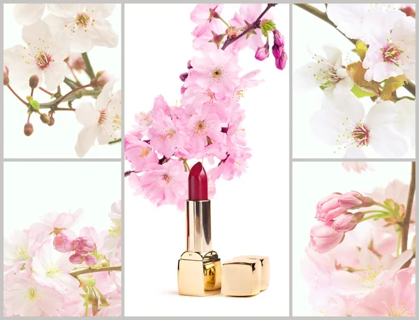 Collage of images with sakura flowers and red lipstick — Stock Photo, Image