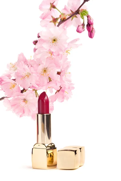 Natural cosmetics concept: new lipstick with sakura flowers — Stock Photo, Image