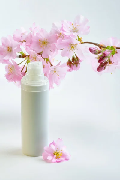 Face cream with sakura flowers — Stock Photo, Image