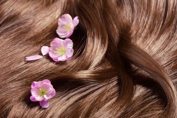 Hermoso cabello brillante saludable con flores de sakura — Foto de Stock