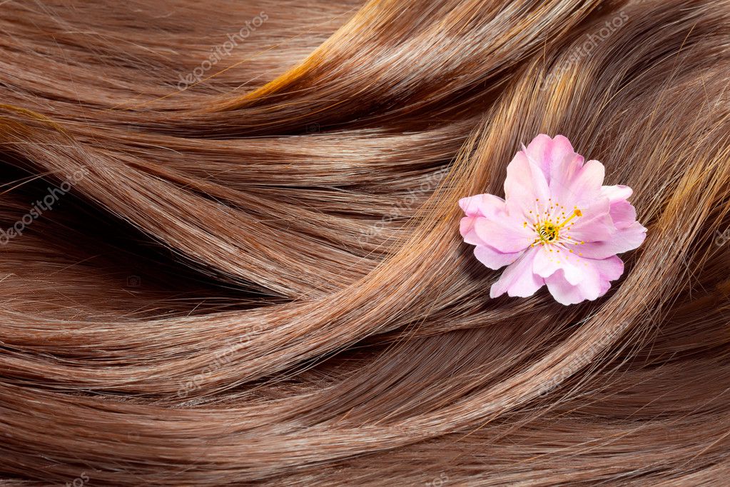 Beautiful healthy shiny hair texture with a flower, hair care co Stock  Photo by ©MartiniDry 10239282