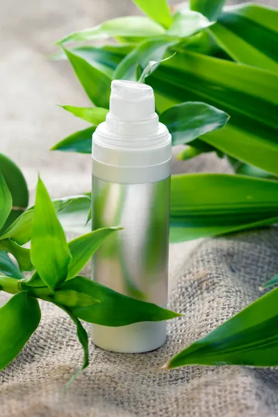 Face cream moisturizer among bamboo leaves — Stock Photo, Image