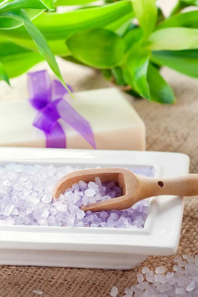 Bath salt with soap and lucky bamboo — Stock Photo, Image