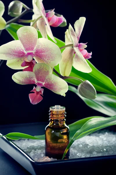 Μπουκάλι αιθέριο έλαιο με orchid λουλούδια και άλατα — Φωτογραφία Αρχείου