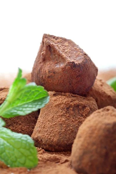 Chocolate truffle with fresh mint dusted with cocoa powder — Stock Photo, Image