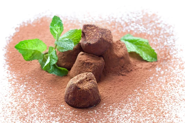 Chocolate truffles with fresh mint dusted with cocoa powder — Stock Photo, Image
