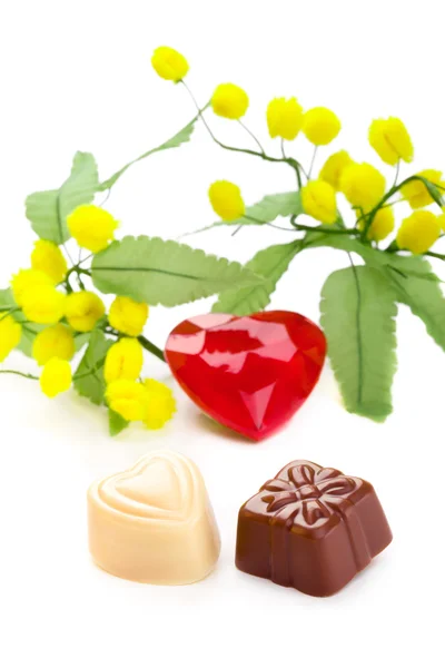 Presente e coração em forma de chocolates com um coração e flores mimosa — Fotografia de Stock