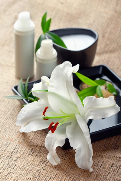 Conceito de cuidado de rosto / corpo: flor de lírio com cremes — Fotografia de Stock
