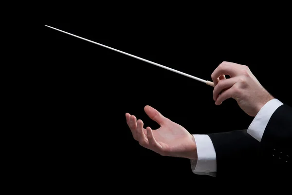 stock image Conductor