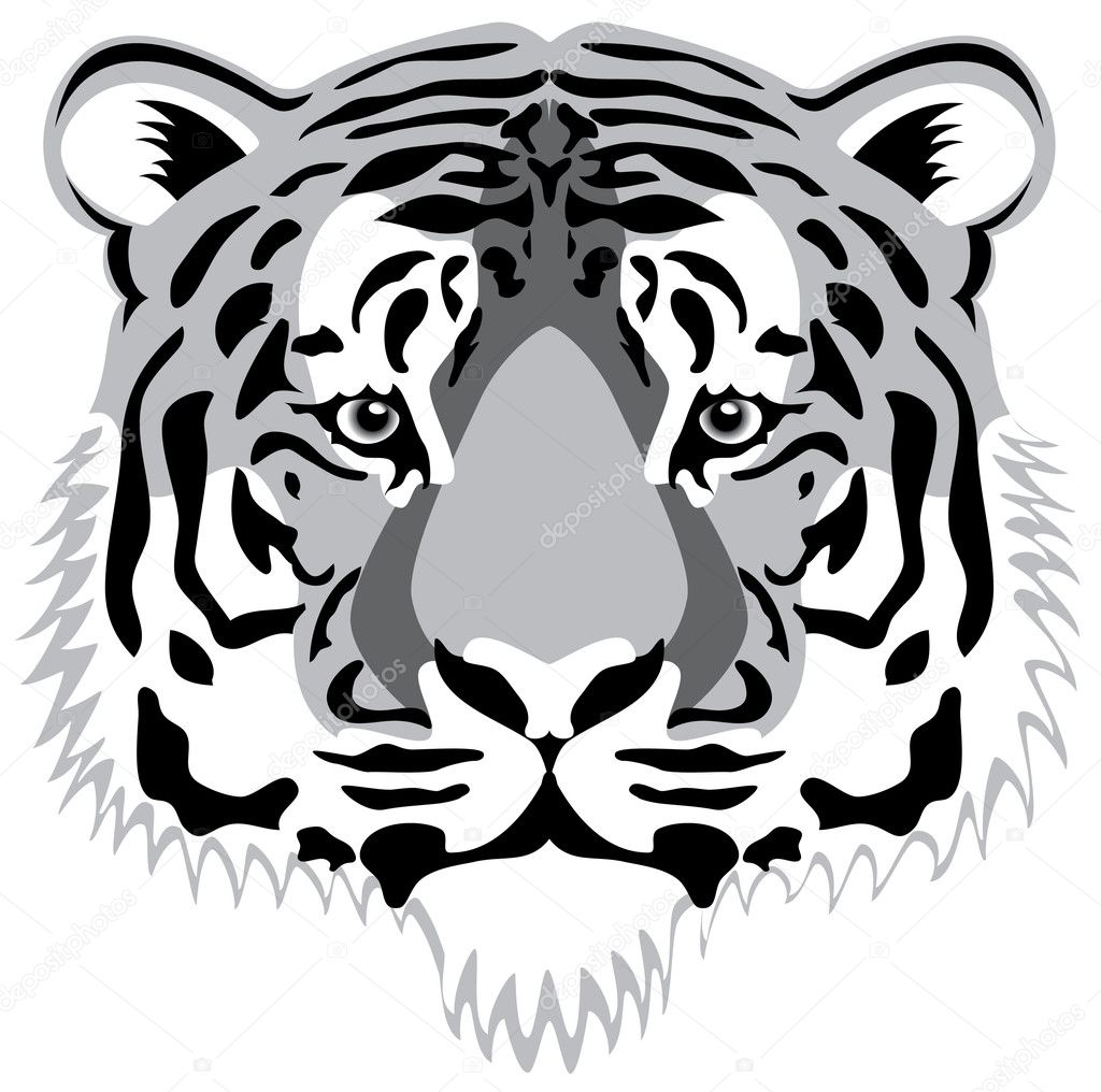 Vector tiger head — Stock Vector © dmstudio #10395223