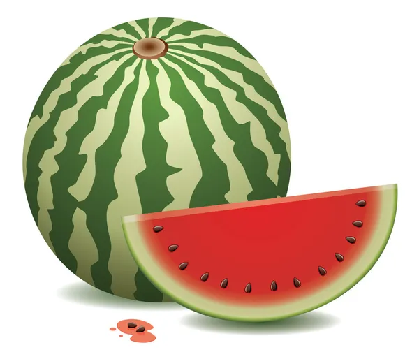 Juicy Water Melon — Stock Vector © vectomart #9087965